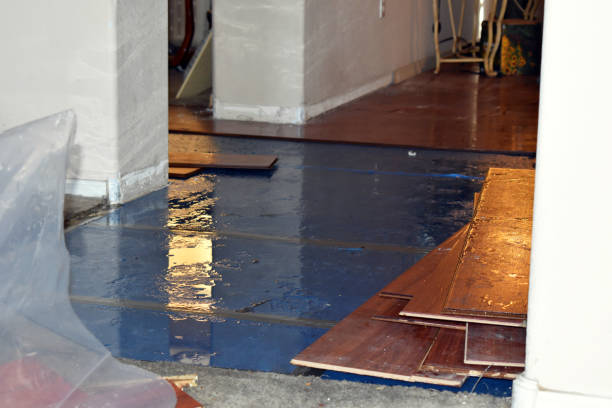 Professional Water Damage Restoration technician working in Riverside, IA